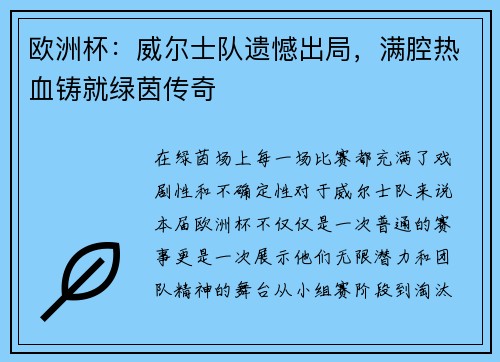 欧洲杯：威尔士队遗憾出局，满腔热血铸就绿茵传奇